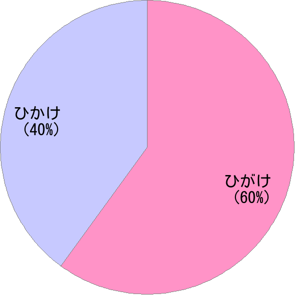 姓「樋掛」の読み確率